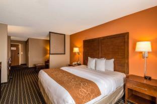 Comfort 3*