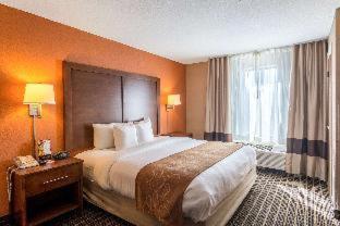Hotel Comfort 3*