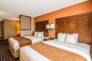 Comfort 3*